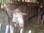 DSCF0169.jpg