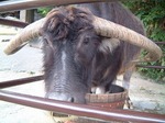 DSCF0172.jpg