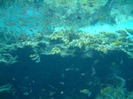 DSCF0218.jpg