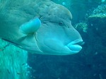 DSCF0220.jpg